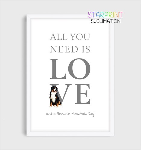 Bernese mountain dog all you - dog, "all