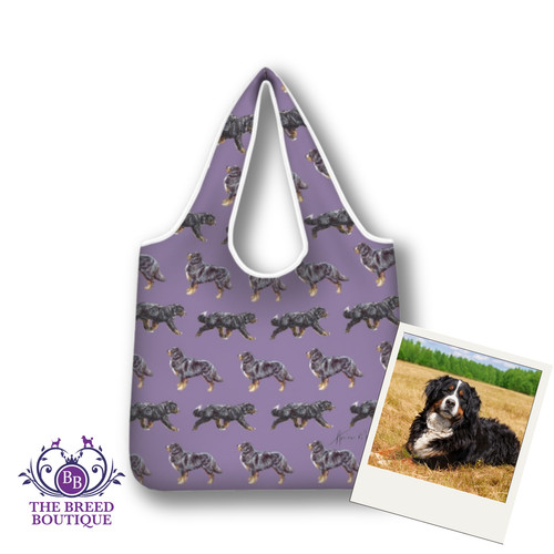 Final clearance bernese - final,