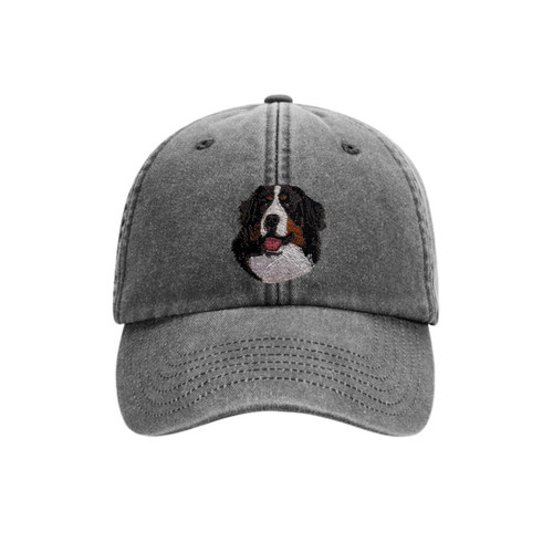 Bernese mountain dog - mountain,
