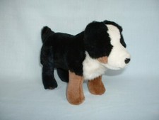 PEDIGREE CHUM Official BERNESE