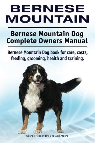 Bernese mountain - bernese, mountain.