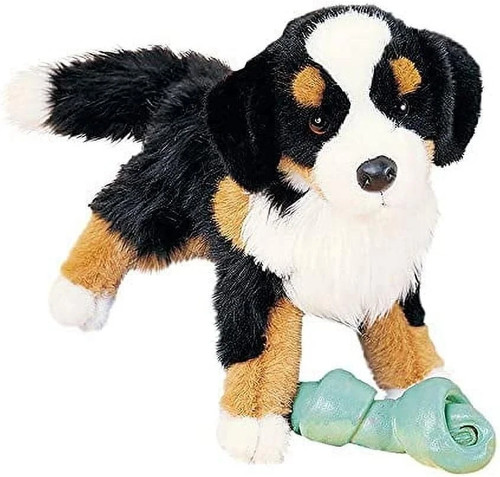 Douglas trevor bernese - douglas,