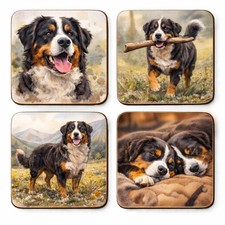 Bernese Mountain Dog Coaster