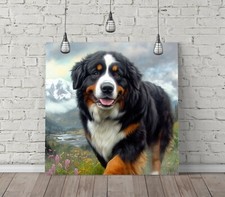 CUTE BERNESE MOUNTAIN DOG