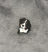 Bernese Mountain Dog Breed Pet