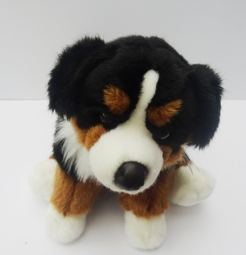 Bernese mountain dog - dog, toy
