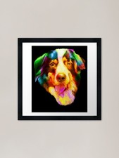 Bernese Mountain Dog Framed
