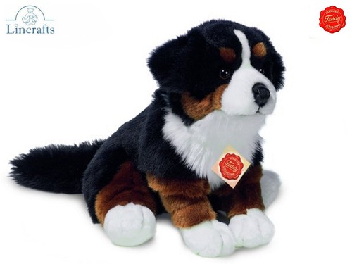 Teddy hermann bernese mountain - bernese,