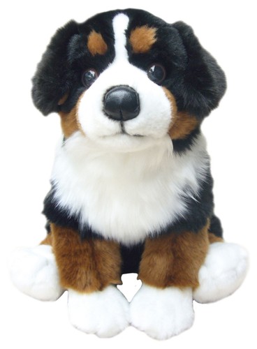 Faithful friends bernese - friends,
