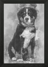 Bernese Mountain Dog 4 mo