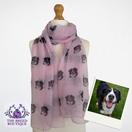 Bernese mountain dog - dog, print