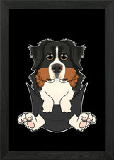 Bernese Mountain Dog Puppy