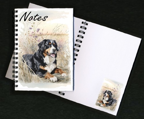 Bernese mountain dog - bernese,