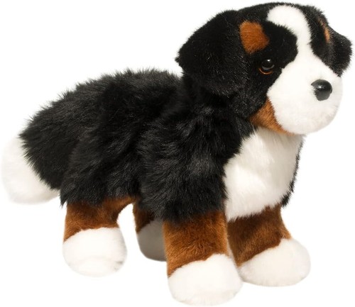 Douglas stevie bernese - douglas,