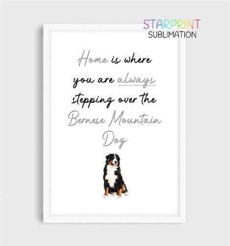 Bernese mountain dog unframed - bernese,