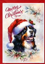 Bernese Mountain Dog A6