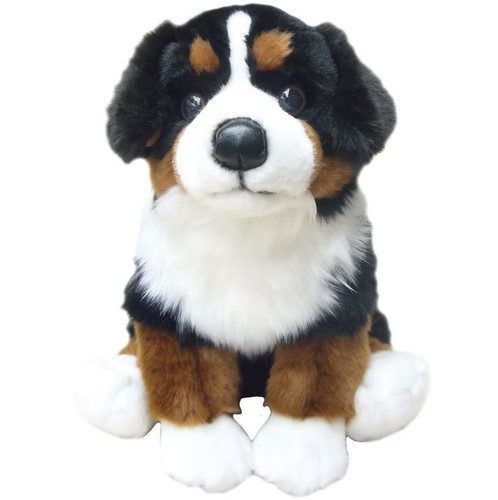 Bernese mountain dog - mountain,