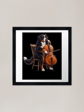 Bernese Mountain Dog Playing