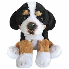 Sitting Bernese Mountain Dog -