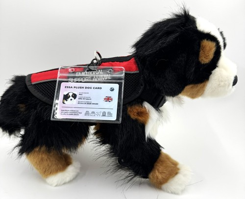 Douglas trevor bernese - trevor,