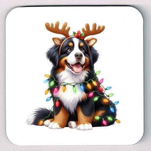 Bernese mountain dog coaster - bernese,