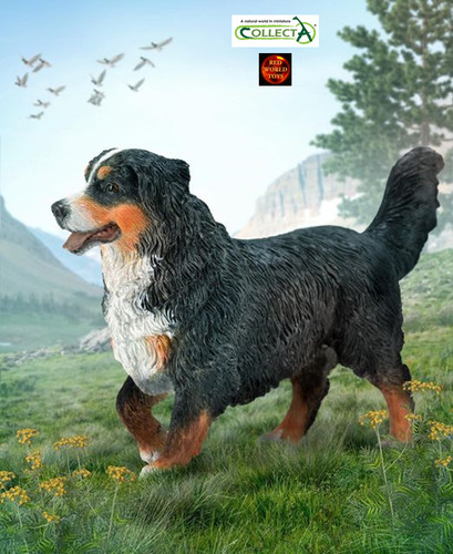 Bernese mountain dog toy model - mountain,