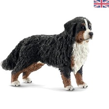 Colorful Female Bernese