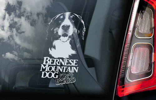 Bernese mountain dog car - bernese,