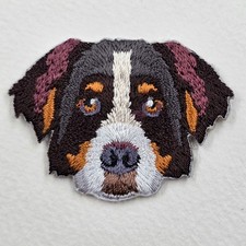 Bernese Mountain Dog
